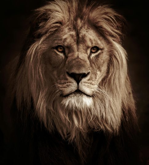 mariola-grobelska-8a7ZTFKax_I-unsplash